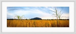 landscape photography prints