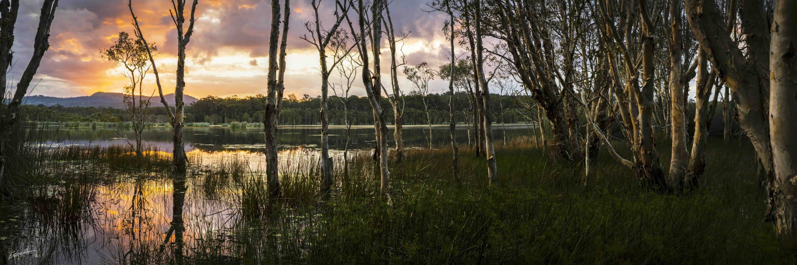 Tranquility