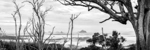 panoramic photography