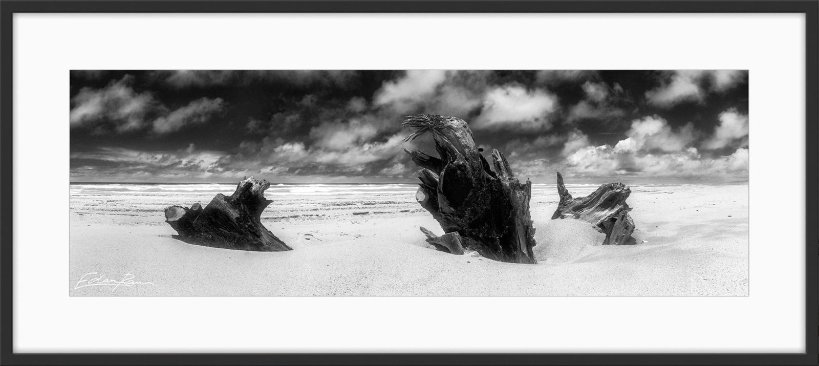 double island point black and white photography