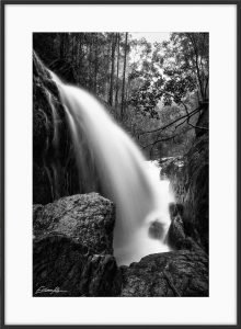 montville australian landscape photography