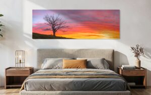 sunshine coast landscape photography gallery
