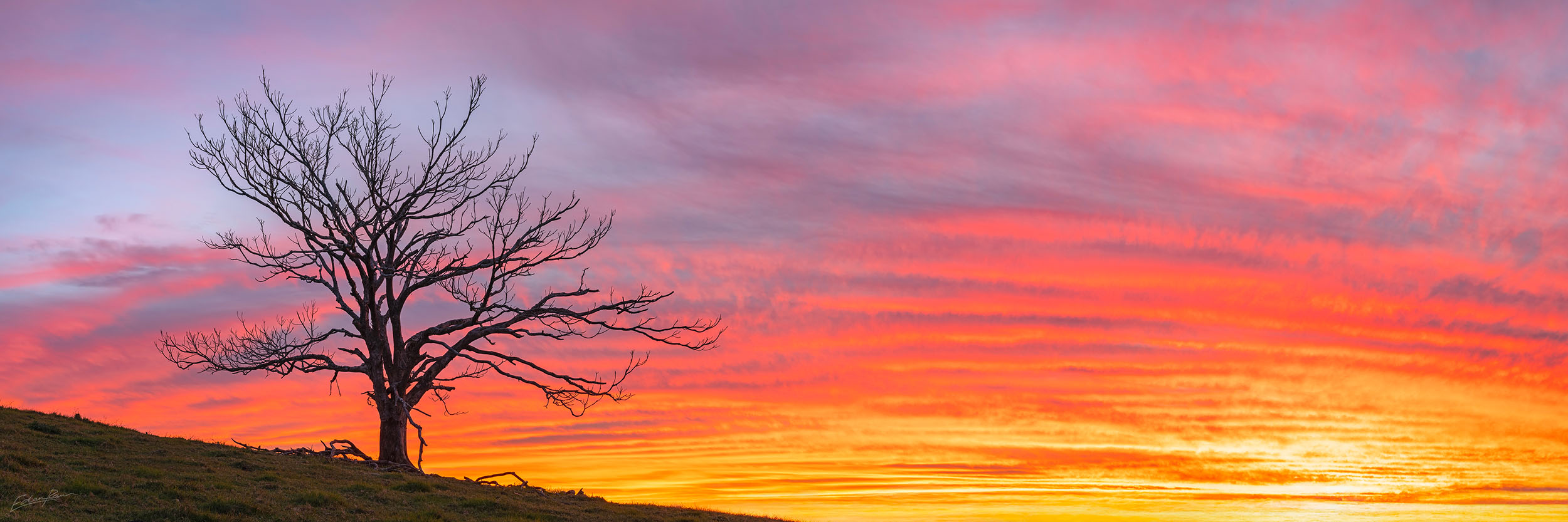 sunshine coast landscape photography gallery