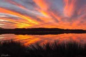 ewen maddock dam sunshine coast landscape photographer