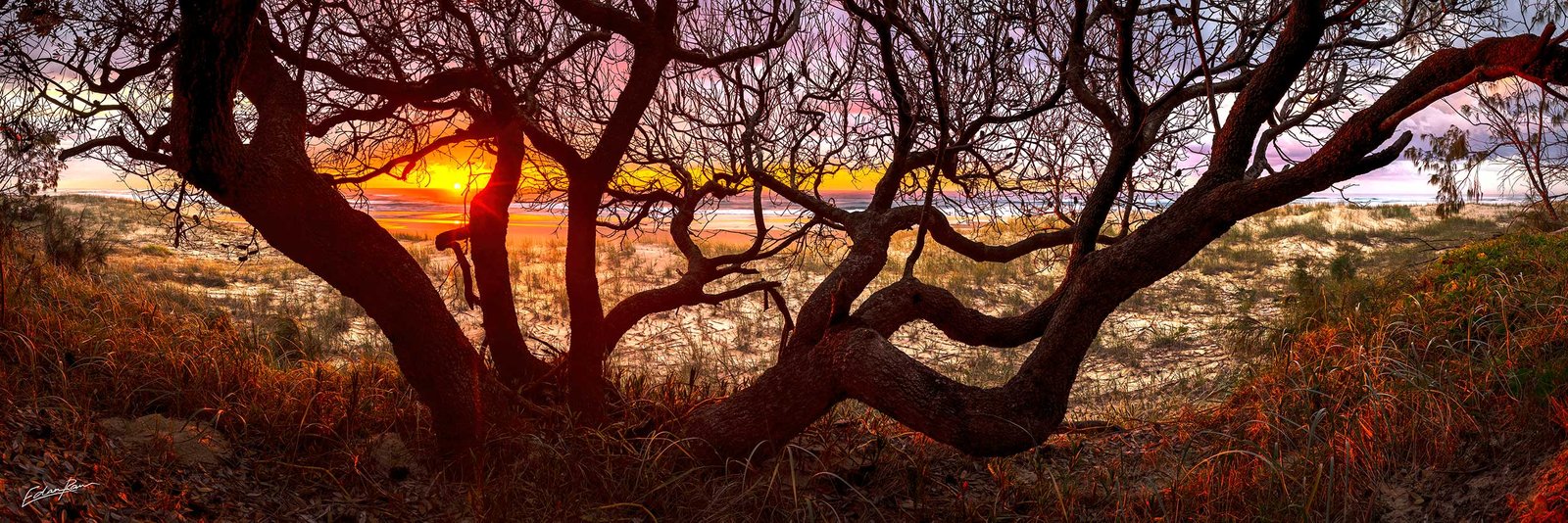 australian landscape photography sunshine coast queensland peregian