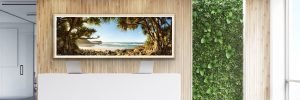 coastal landscape photography
