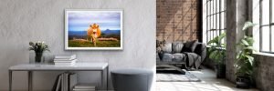 australian landscape photography prints
