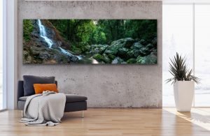 kondalilla falls panoramic landscape photography