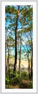 noosa landscape photography