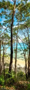 noosa landscape photography