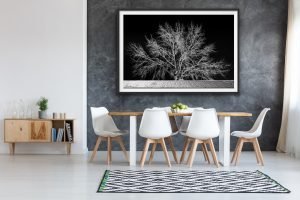 Maleny black and white landscape photography