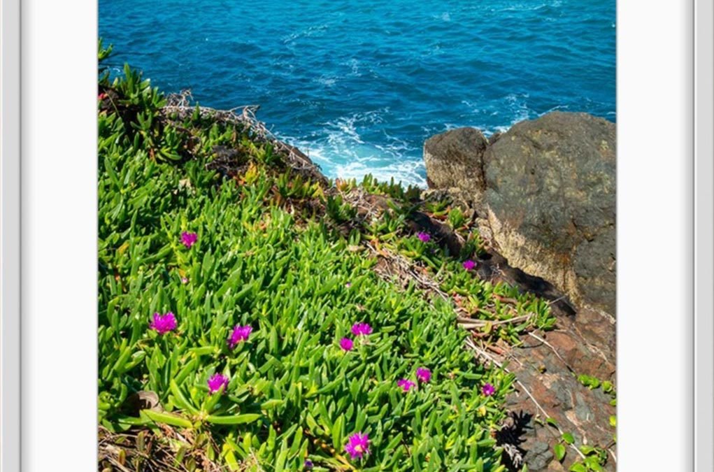 Anatomy Of A Landscape Photo: Picturesque Peak