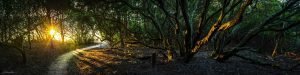 australian landscape photography
