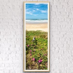 peregian beach landscape photo