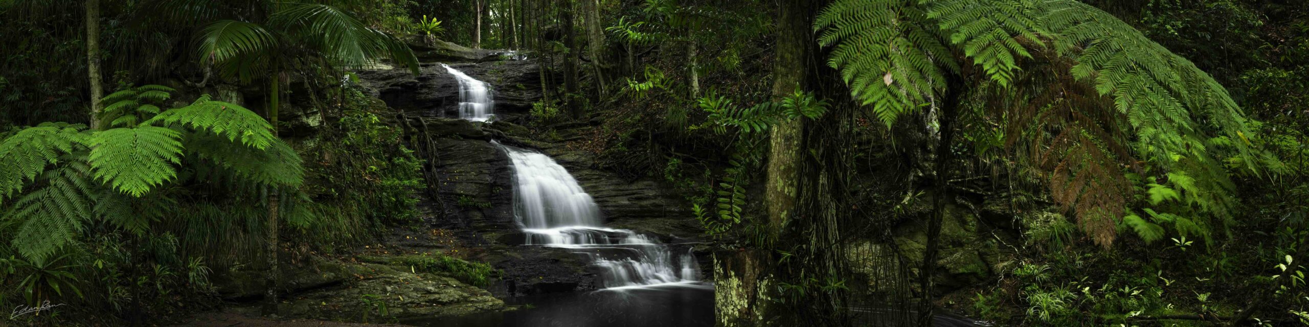 Buderim waterfall