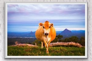australian landscape photography print