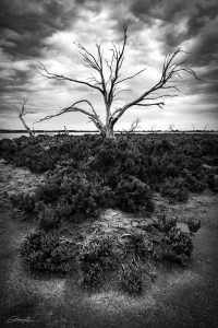 south australian landscape photo