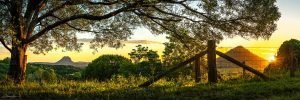 noosa hinterland photography