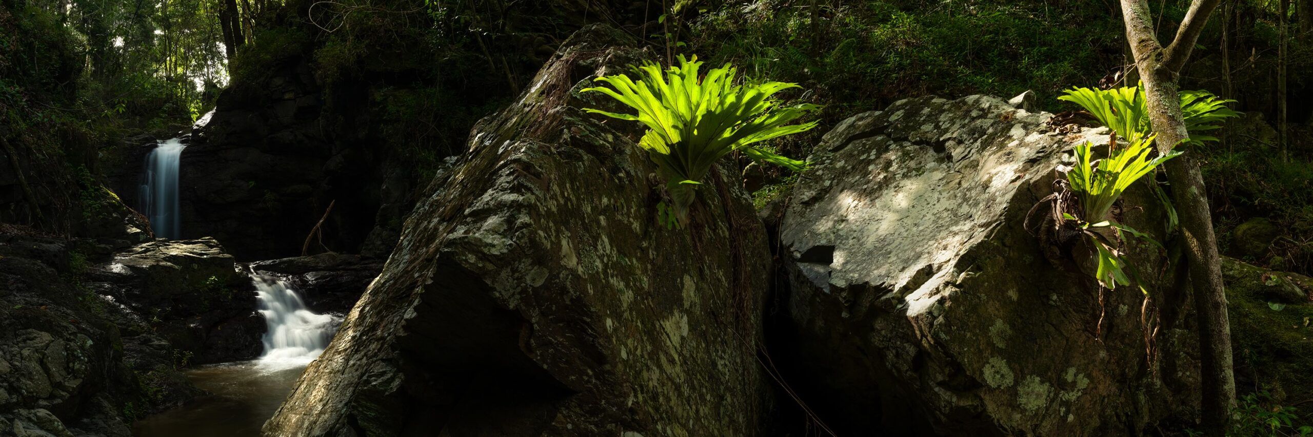 Paradise Falls