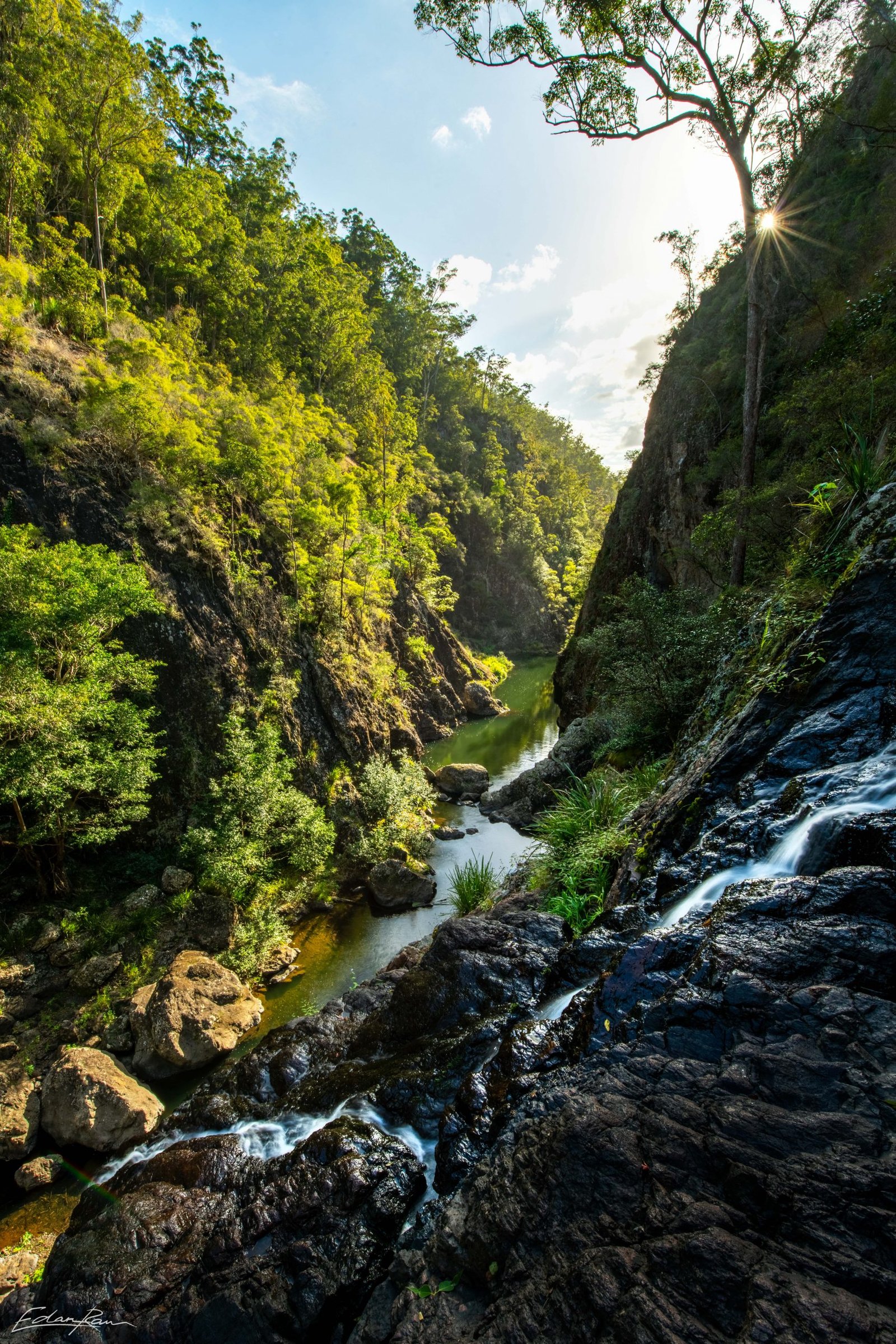 sunshine coast hinterland photo