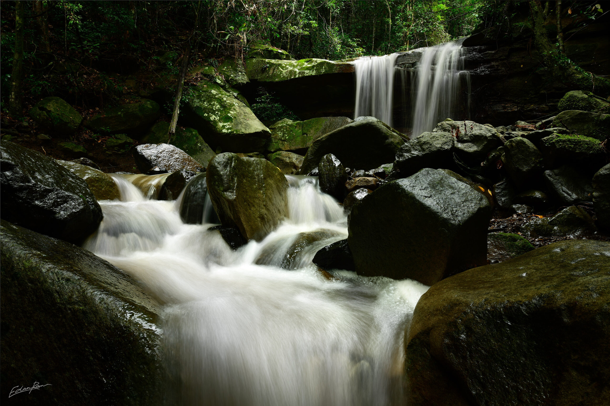 Mooloolah Magic - Mooloolah Valley