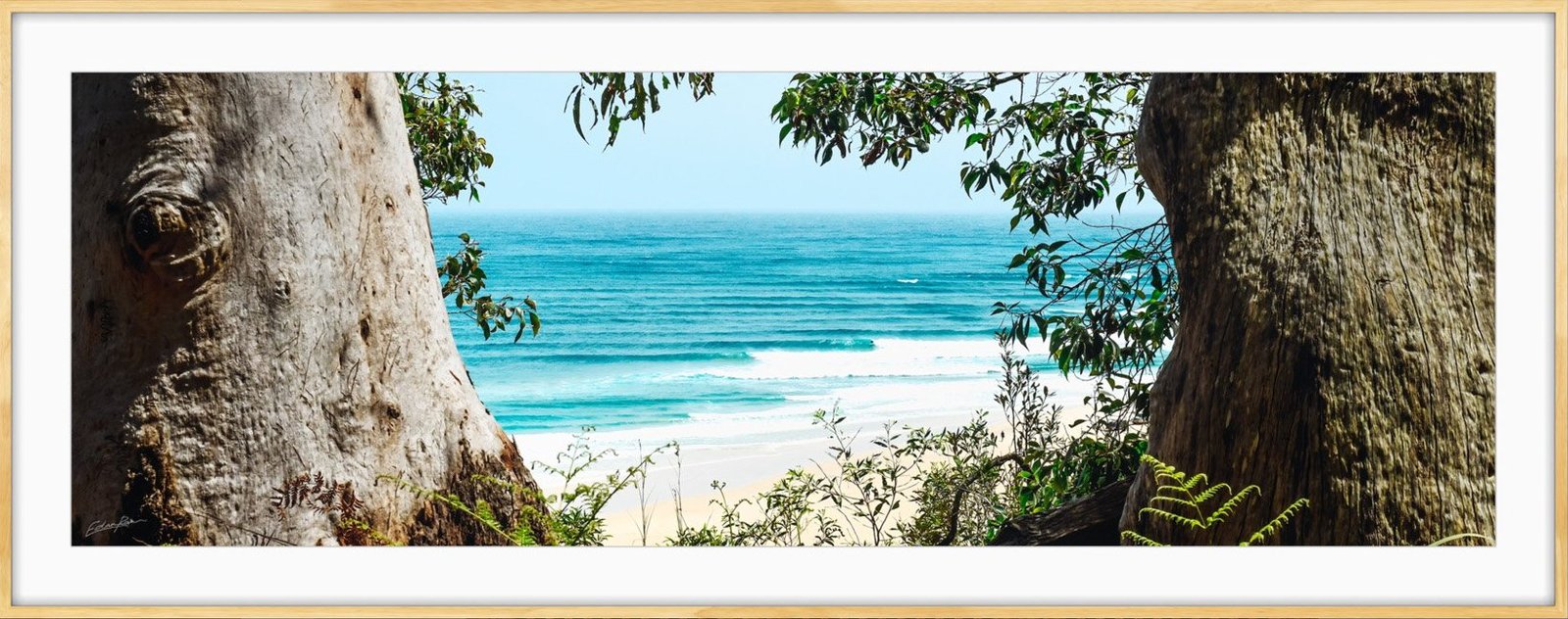 rainbow beach surf photography