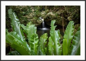 sunshine coast hinterland waterfall photograph