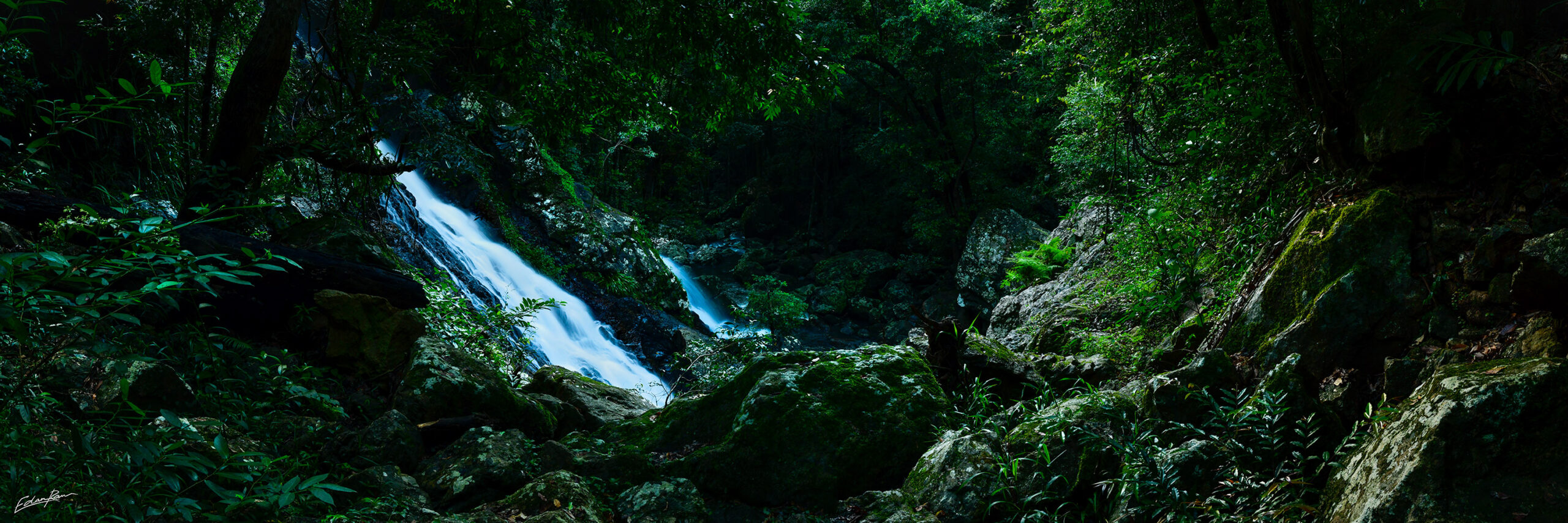 Kondalilla Valley - Kondalilla falls
