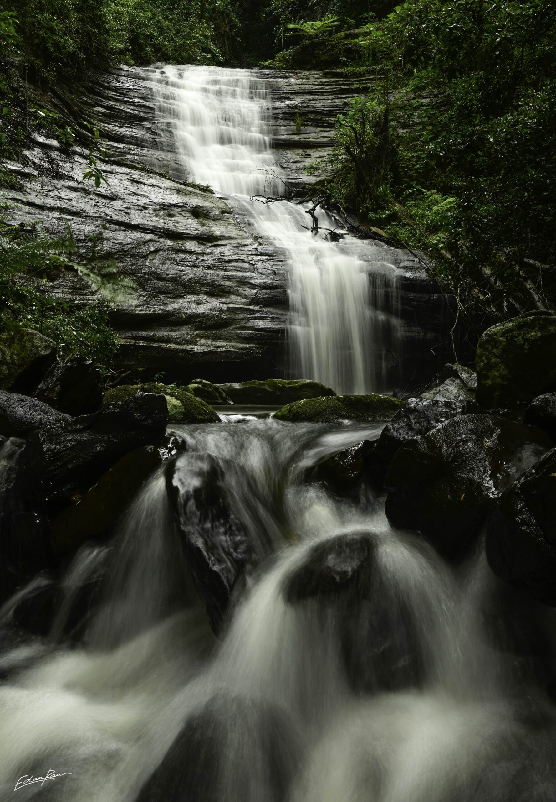 Maleny Magic - Maleny