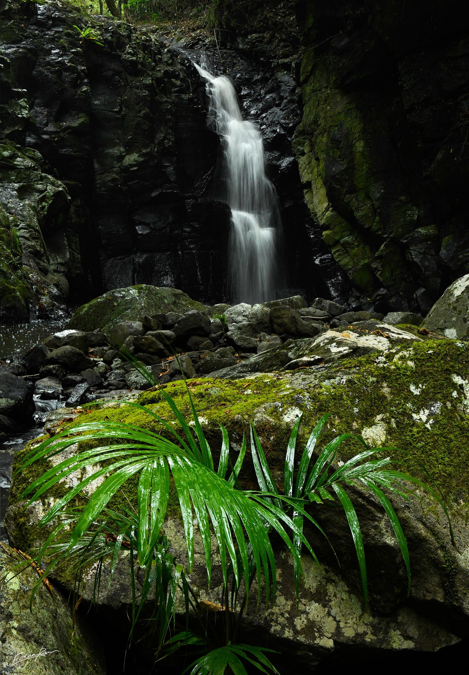 maleny waterfall photo