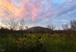 mount coolum landscape photo