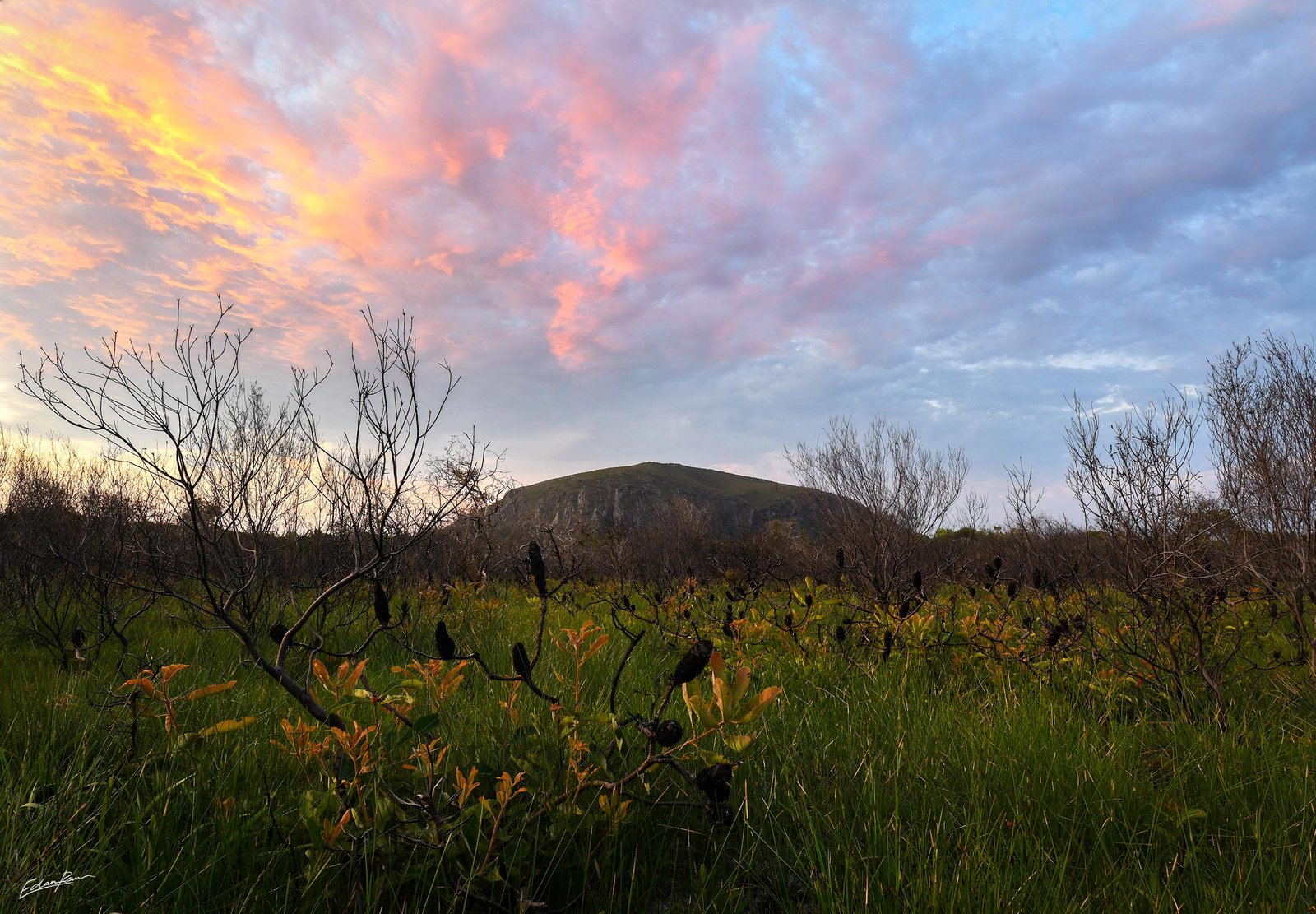 mount coolum landscape photo