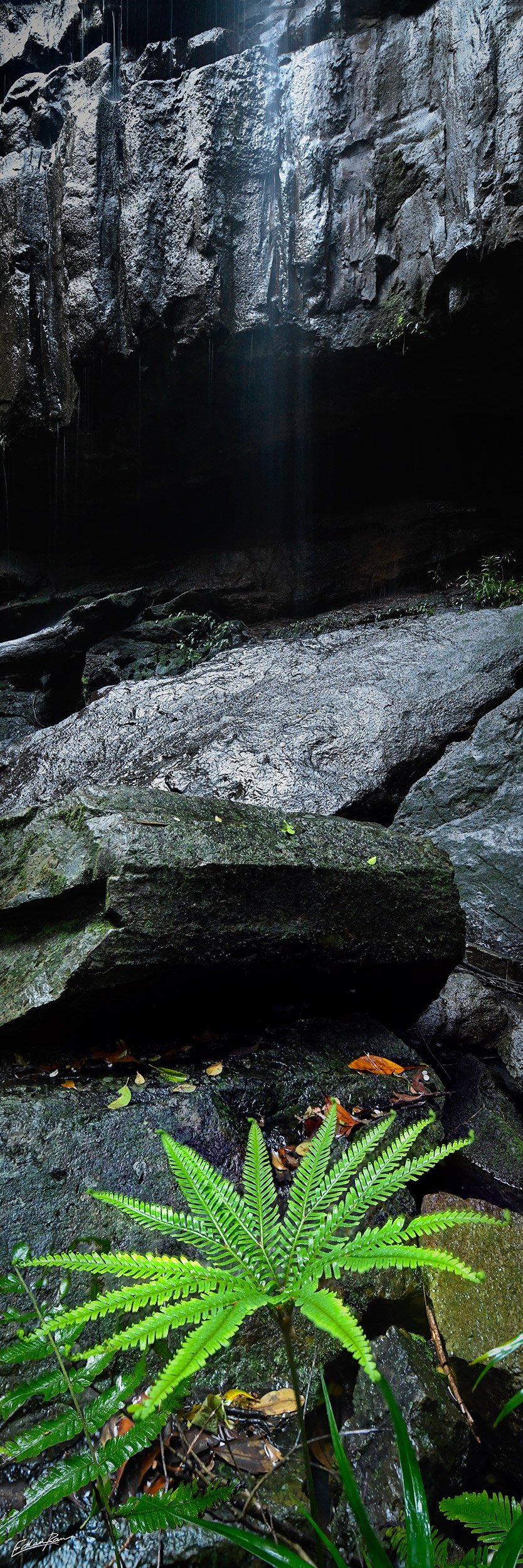 Cooroy sunshine coast waterfall photo