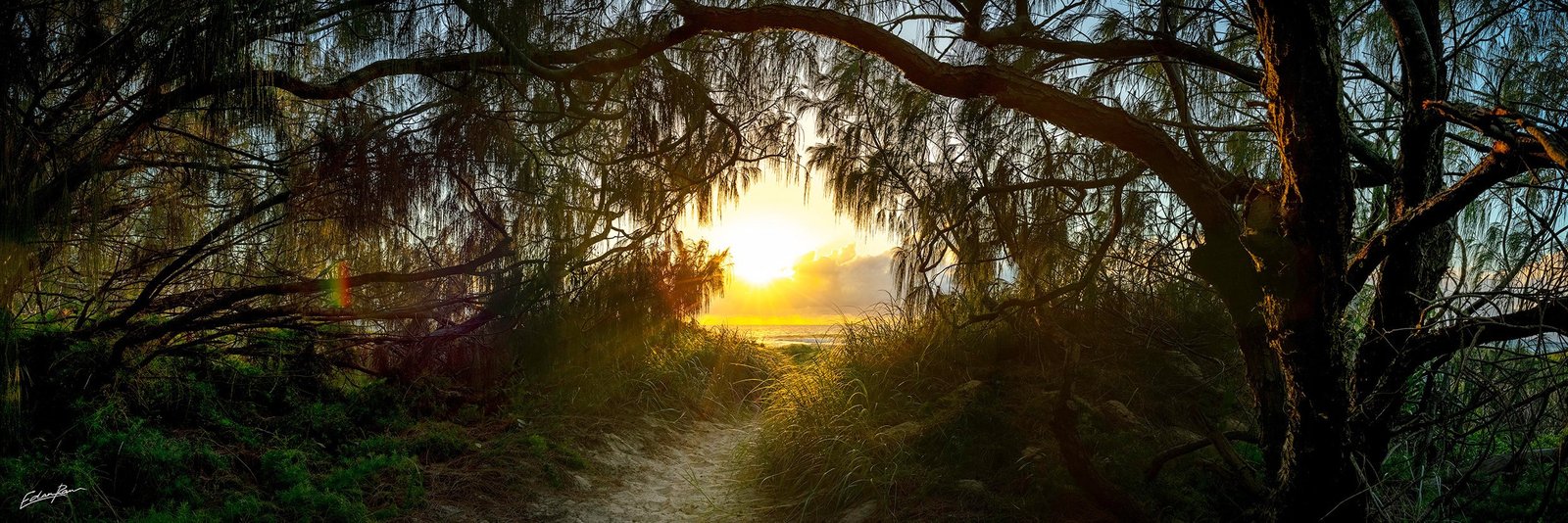 peregian beach landscape photographic print panorama
