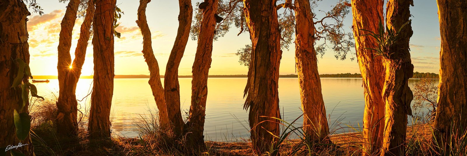 lake weyba landscape photography