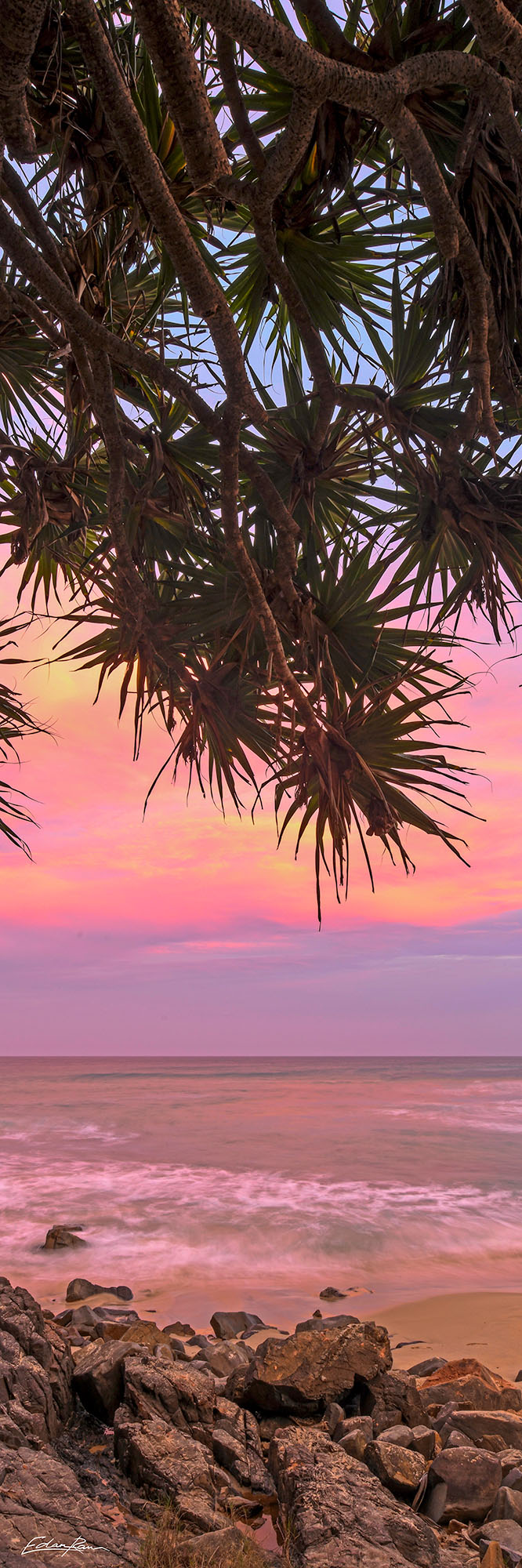 Sunshine Beach photographic wall art